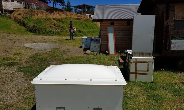 Lidar aérosol et radar nuage au site des orchidées.